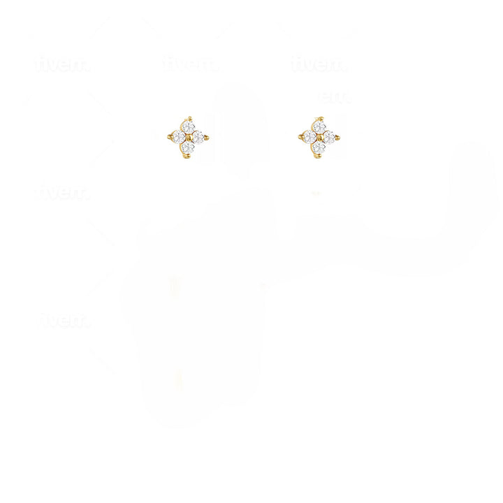 עגילי זהב צמודים 14 קארט - אורי