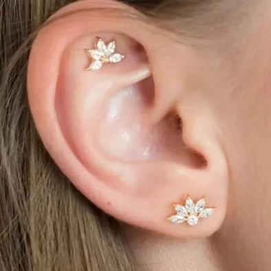 עגיל טראגוס זהב   -טוליר